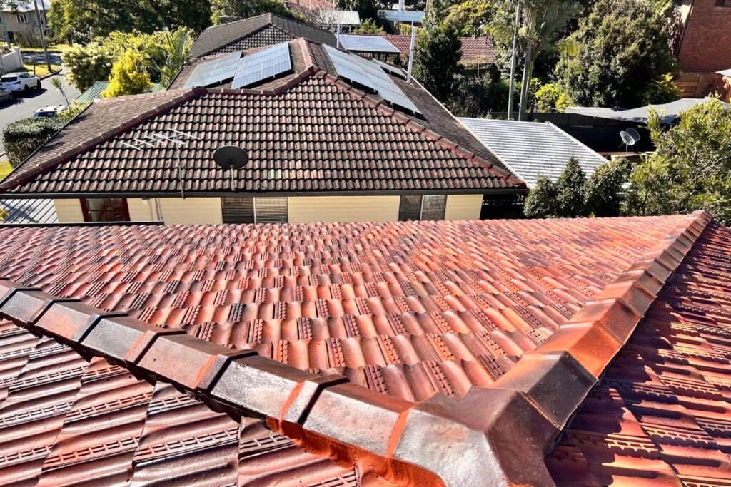 Restored terracotta tiled roof in Brisbane with a neighbouring tiled roof carrying solar panels behind it