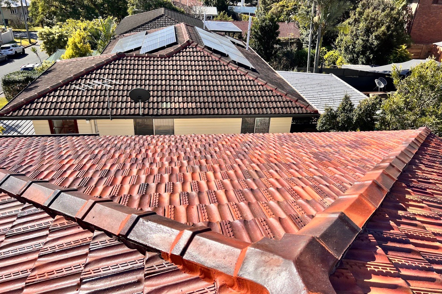 Restored terracotta tiled roof in Brisbane with a neighbouring tiled roof carrying solar panels behind it